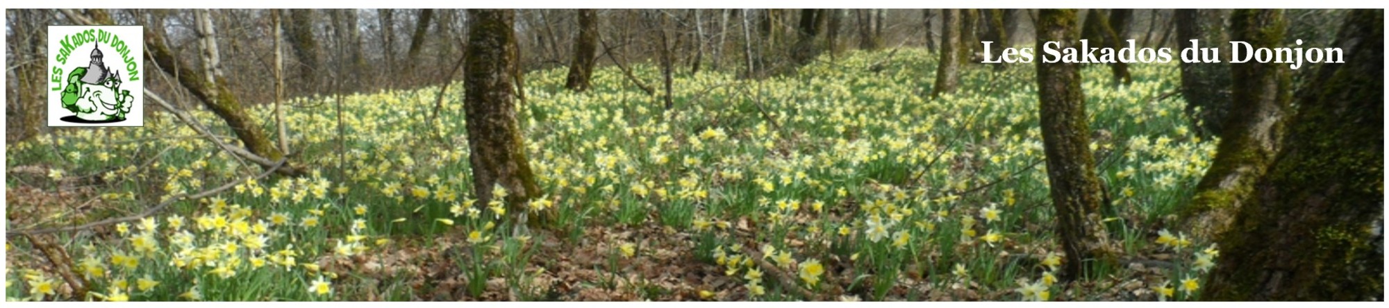 Les SaKados du Donjon