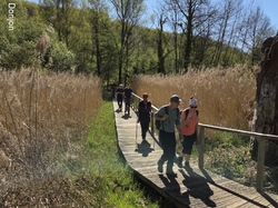 07/04/2026 Villiers sous Grez et Gif sur Yvette