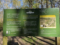 07/04/2026 Villiers sous Grez et Gif sur Yvette