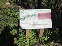 07/04/2026 Villiers sous Grez et Gif sur Yvette