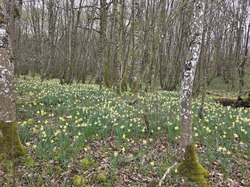 10/03/2026 Buno Bonnevaux Mondeville