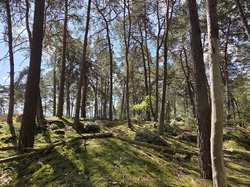 14/04/2026 Farcheville et Petit Paris