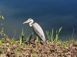 09/04/2026 Seine Port