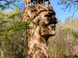 09/04/2026 Seine Port